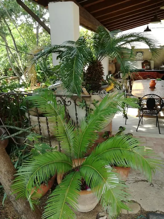 The Garden Bed & Breakfast Sferracavallo